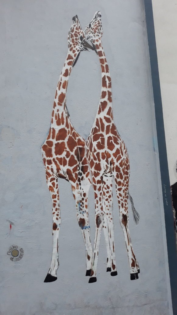 girafe street art 17