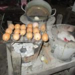 battambang-min