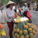 hanoi vendeuse rue ananas