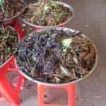 insectes pour le diner