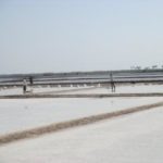 marais salants kep