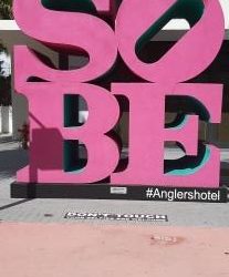 south beach embleme