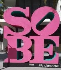 south beach embleme