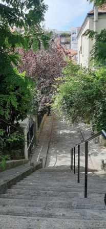 escalier menant campagne paris